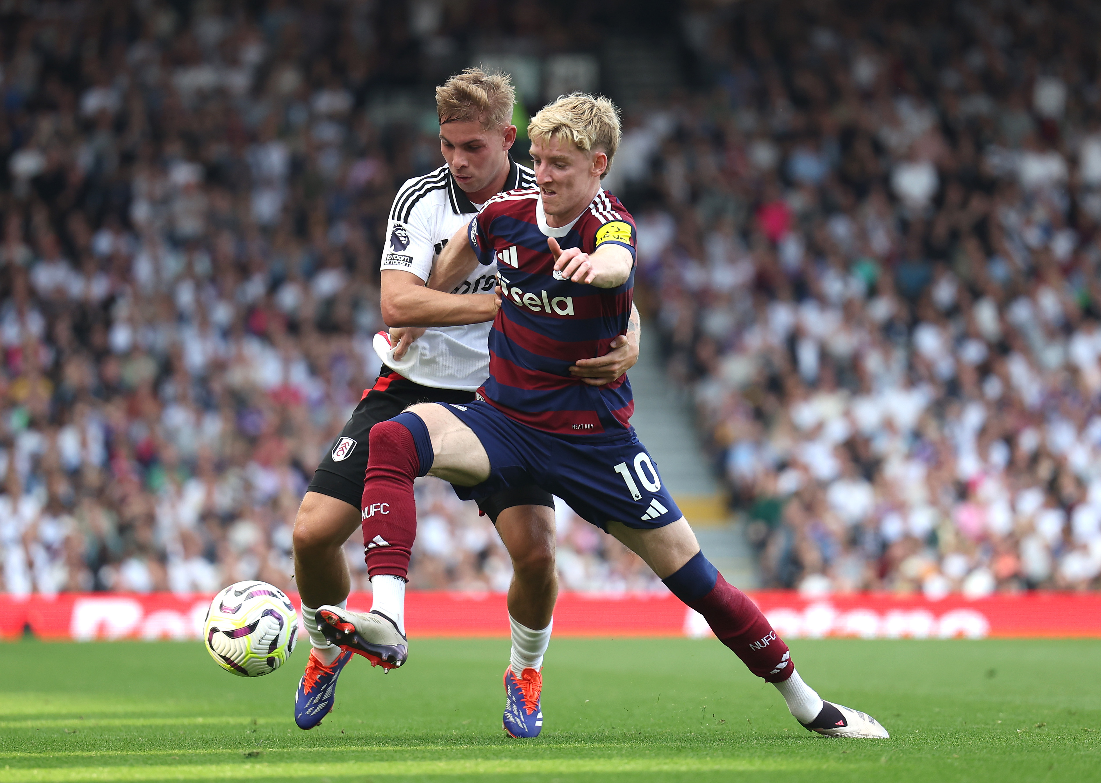 Anthony Gordon was heavily linked with a transfer to Liverpool this summer Gordon, Liverpool
