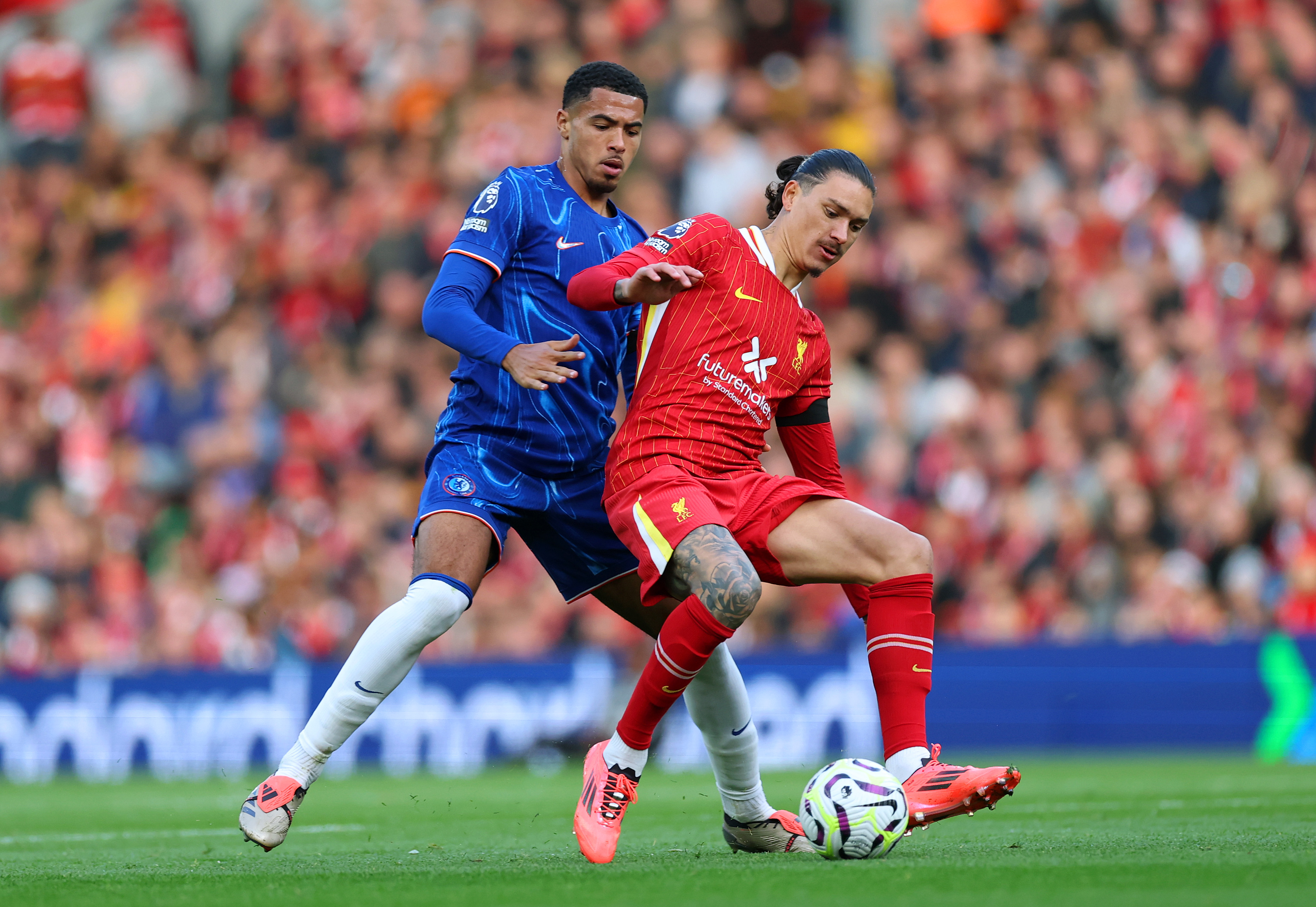Darwin Nunez was lively after coming on against Chelsea