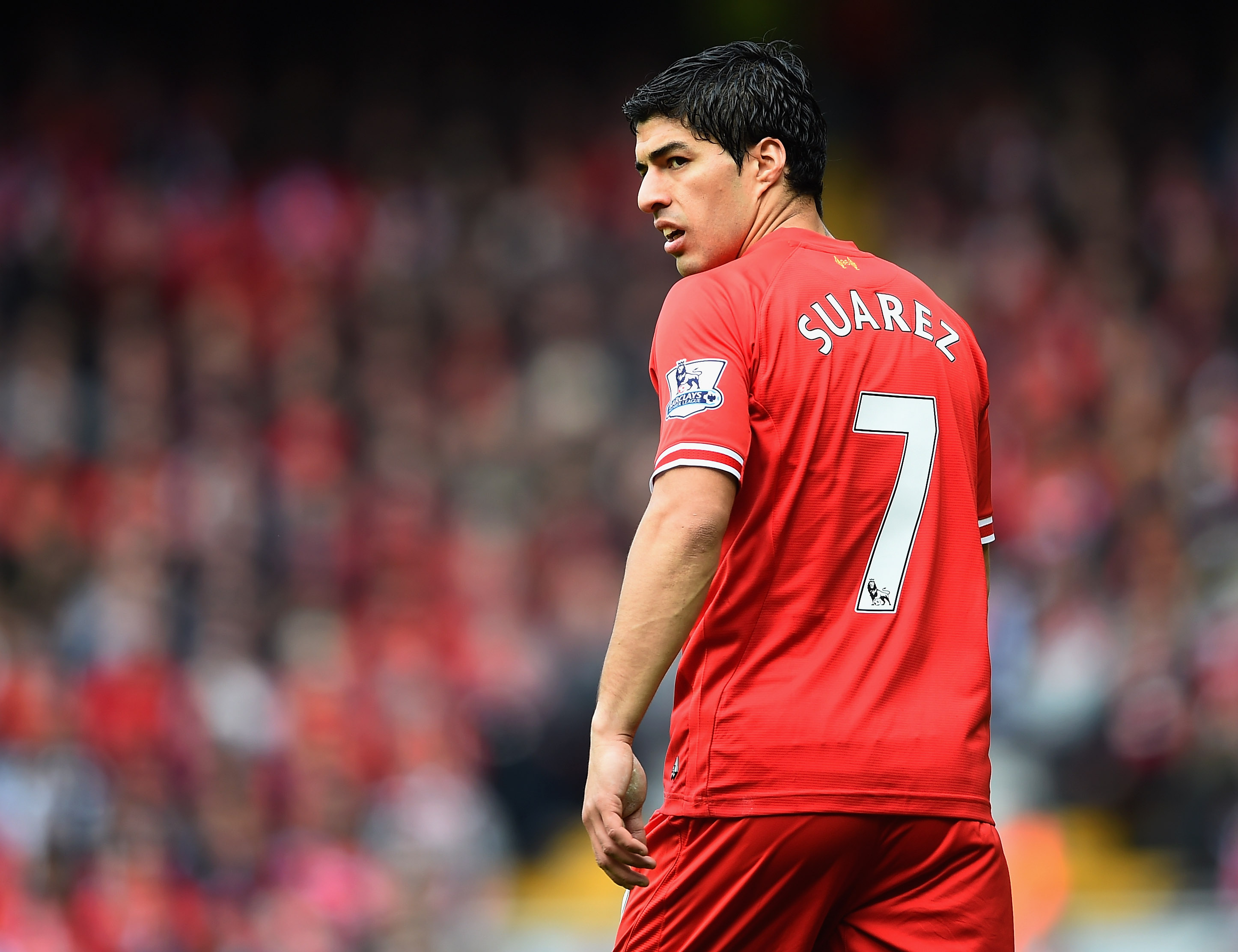 Luis Suarez of Liverpool
