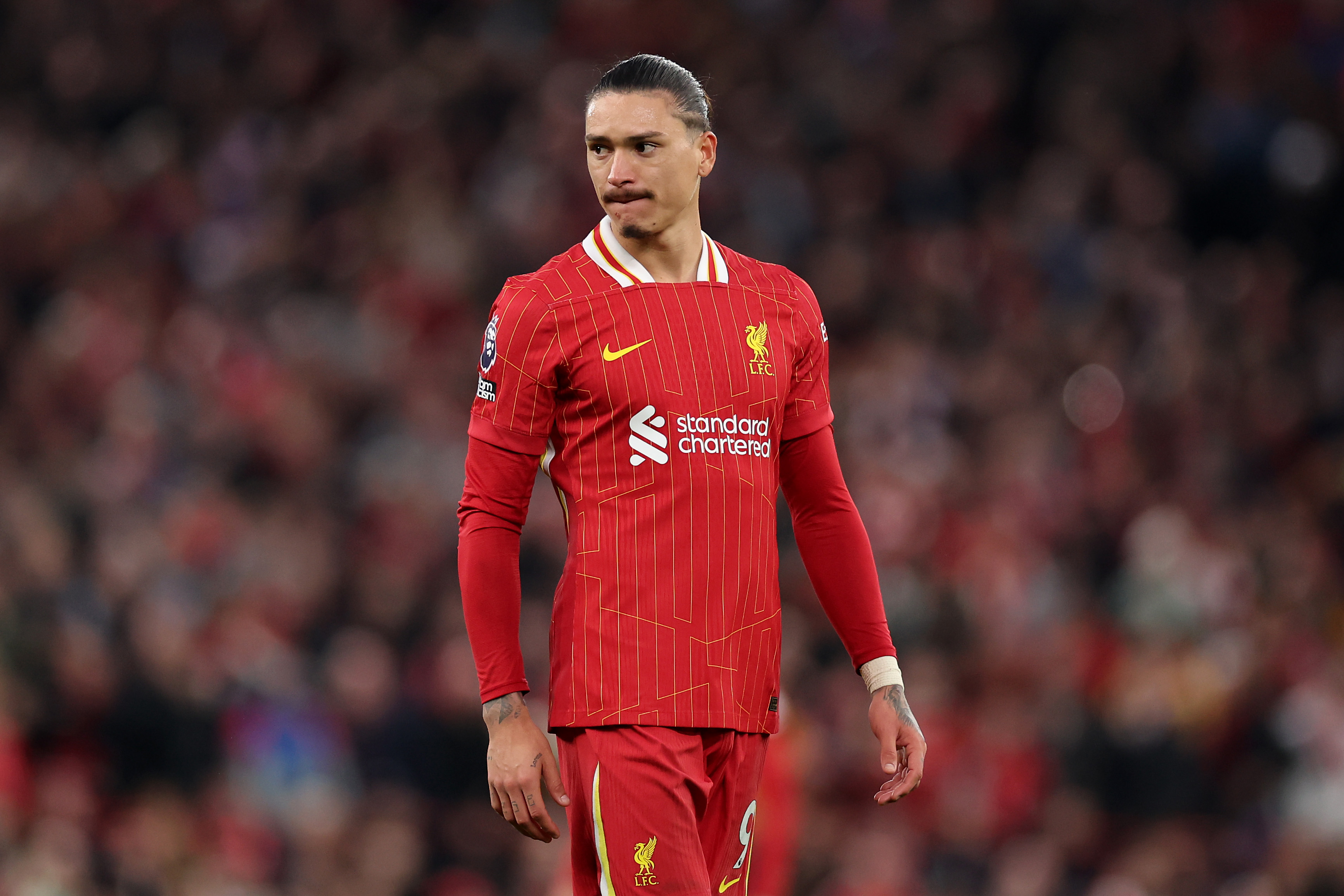 Darwin Nunez reacted jubilantly to Mo Salah's winning goal against Brighton