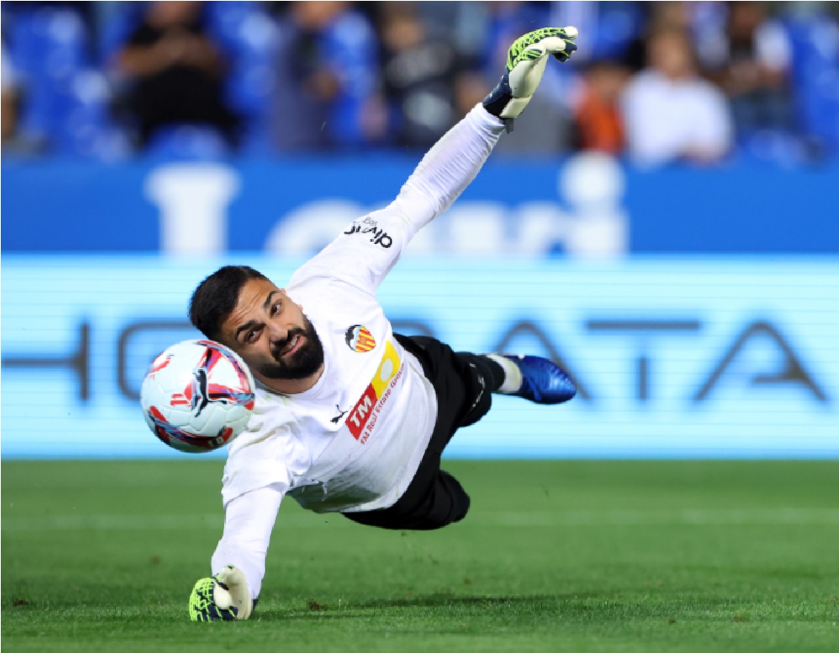 Mark Schwarzer has questioned the wisdom of Liverpool signing Giorgi Mamardashvili