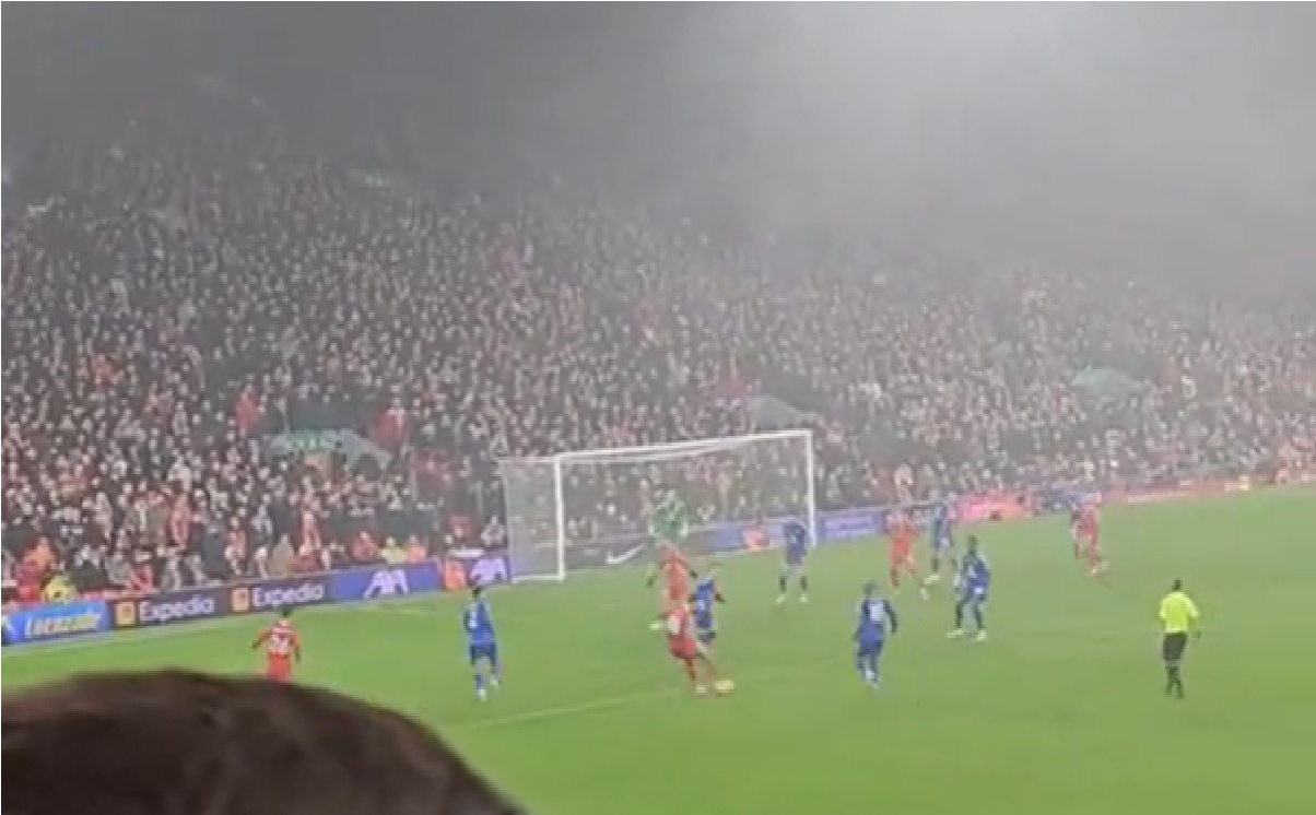 Cody Gakpo equalised for Liverpool against Leicester