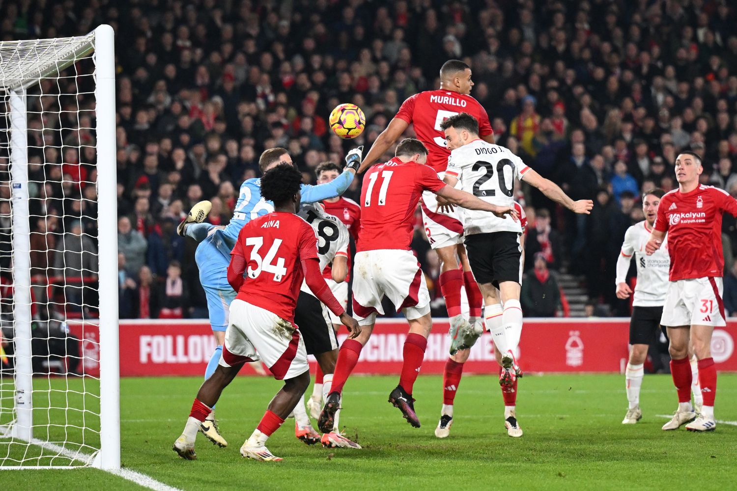 Diogo Jota scores as Cody Gakpo clashes with Matz Sels of Nottingham Forest