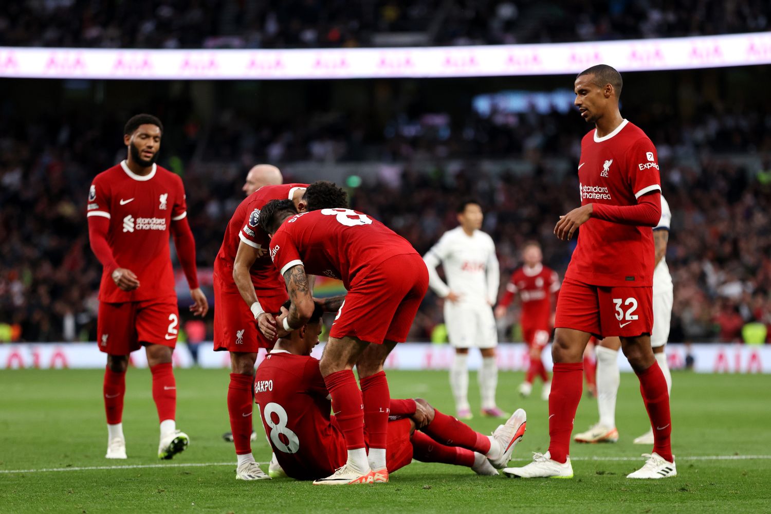 Cody Gakpo lays injured for Liverpool last season