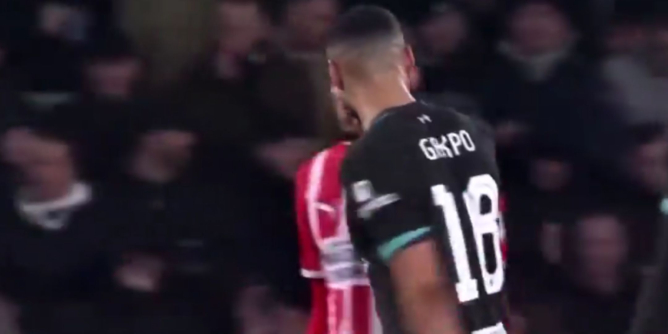 Cody Gakpo celebrates scoring against PSV