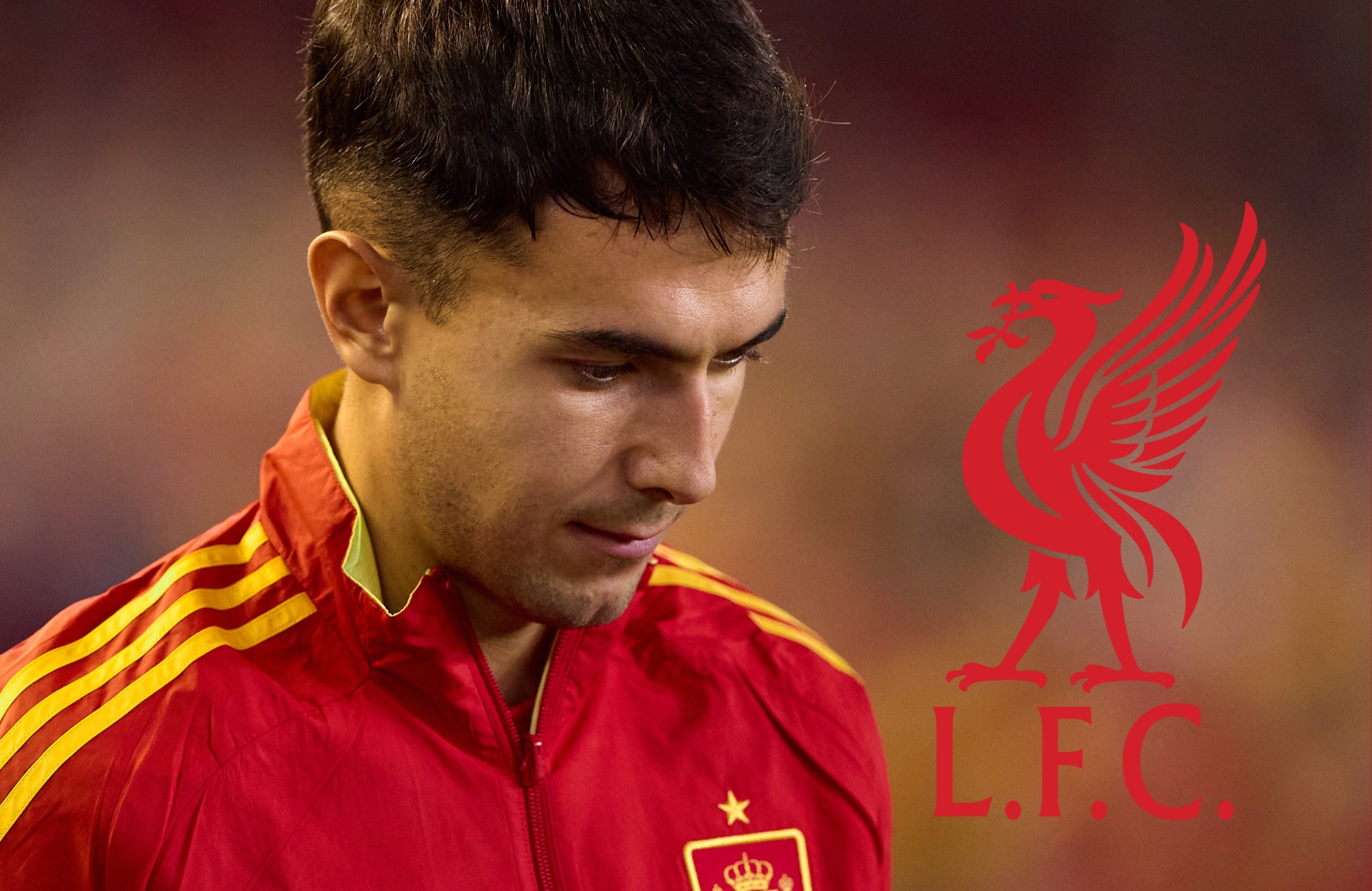 Martin Zubimendi looks conflicted whilst playing for Spain.