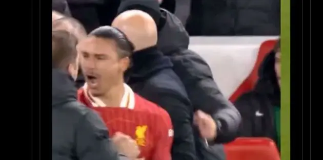 LFC fans will love how Jota and Nunez reacted to Gakpo's equaliser