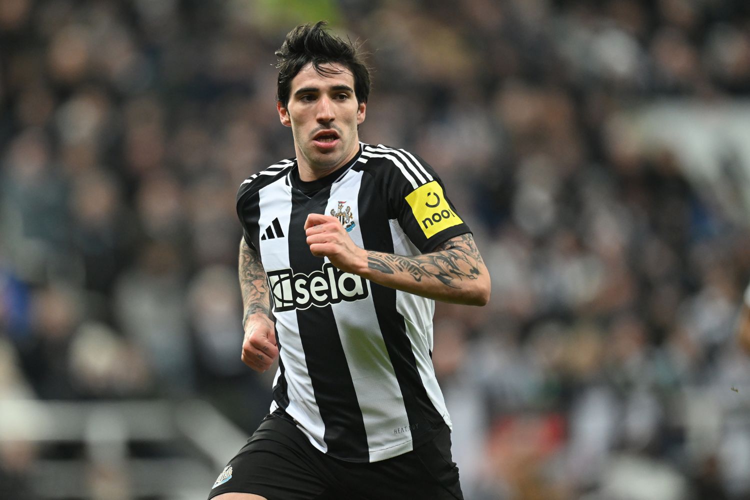 Sandro Tonali in action for Newcastle