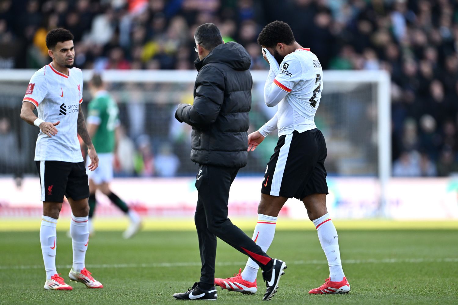 Joe Gomez leaves the pitch injured against Plymouth
