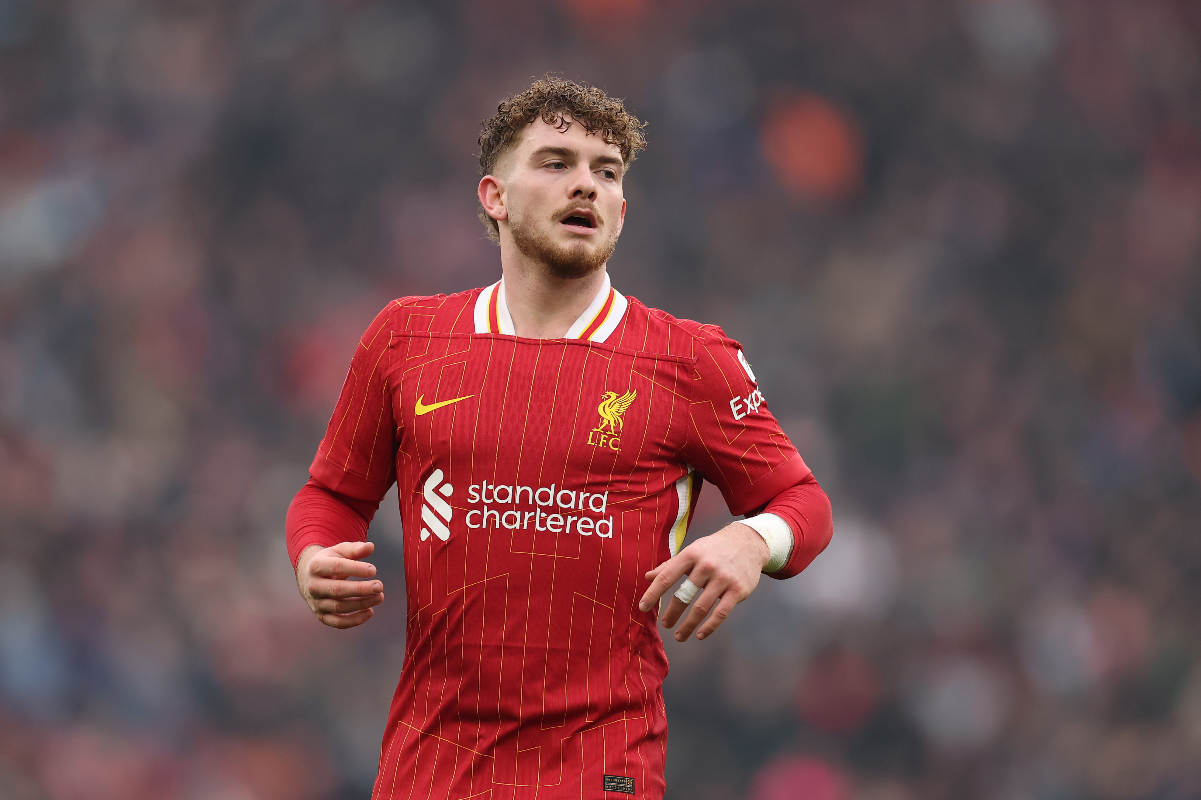 Mick Brown has claimed that Liverpool 'might be open to selling' Harvey Elliott