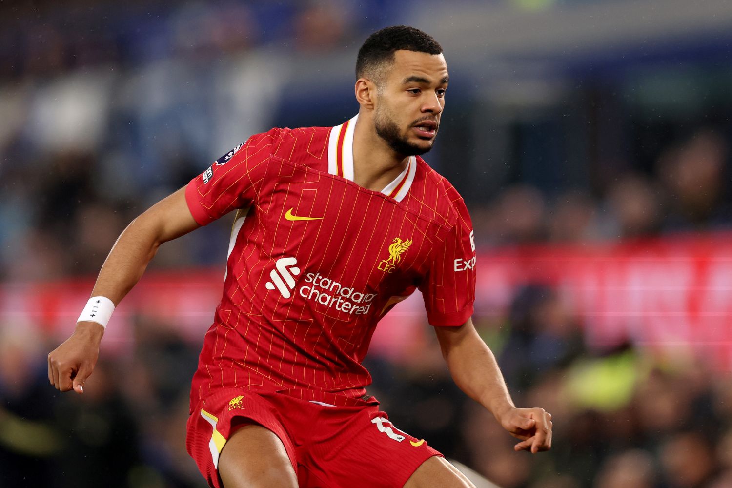 Cody Gakpo in action for Liverpool against Everton