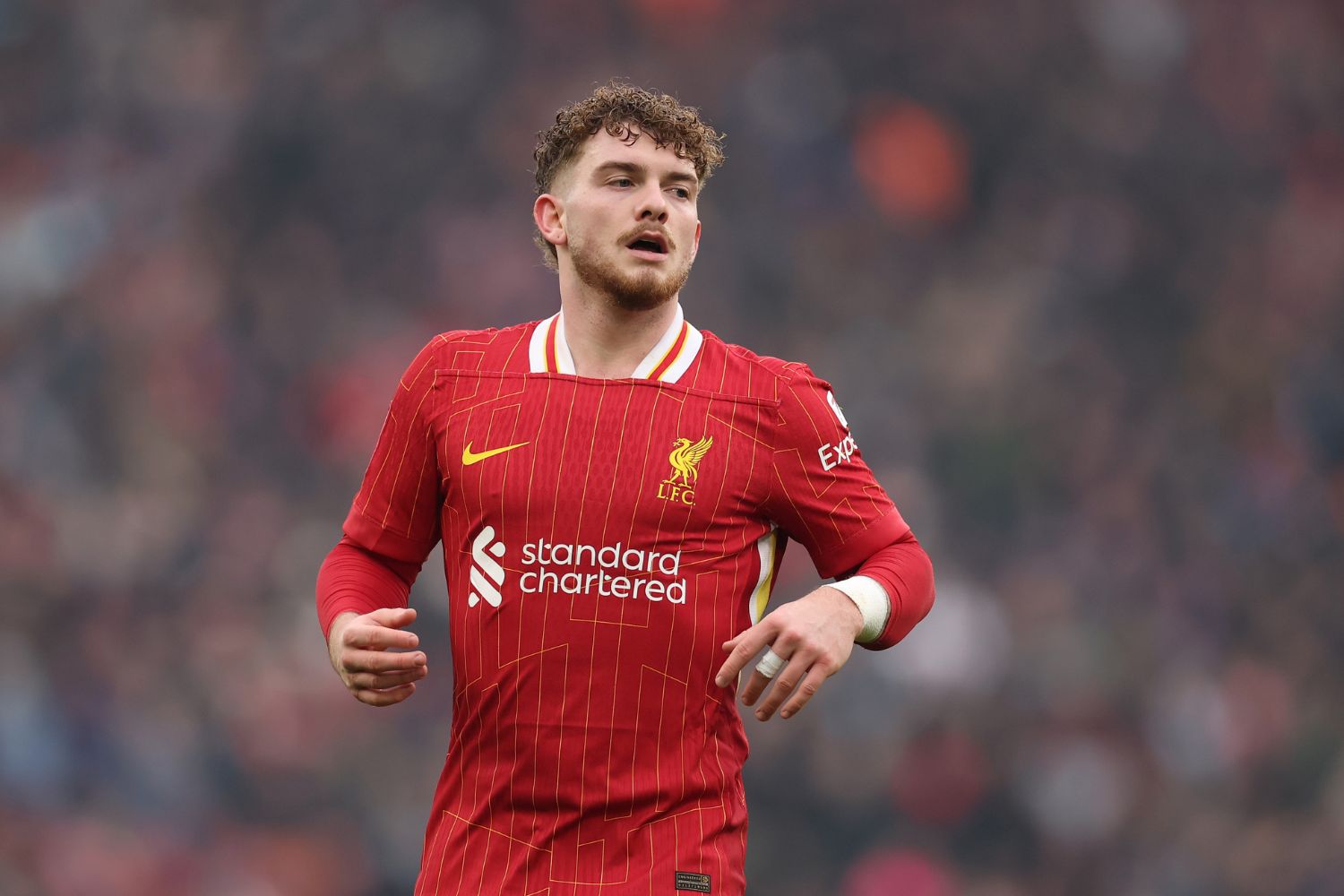 Harvey Elliott in action for Liverpool