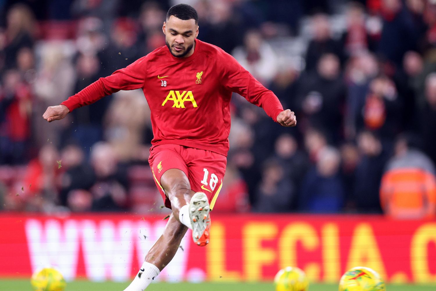 Cody Gakpo warming up for Liverpool
