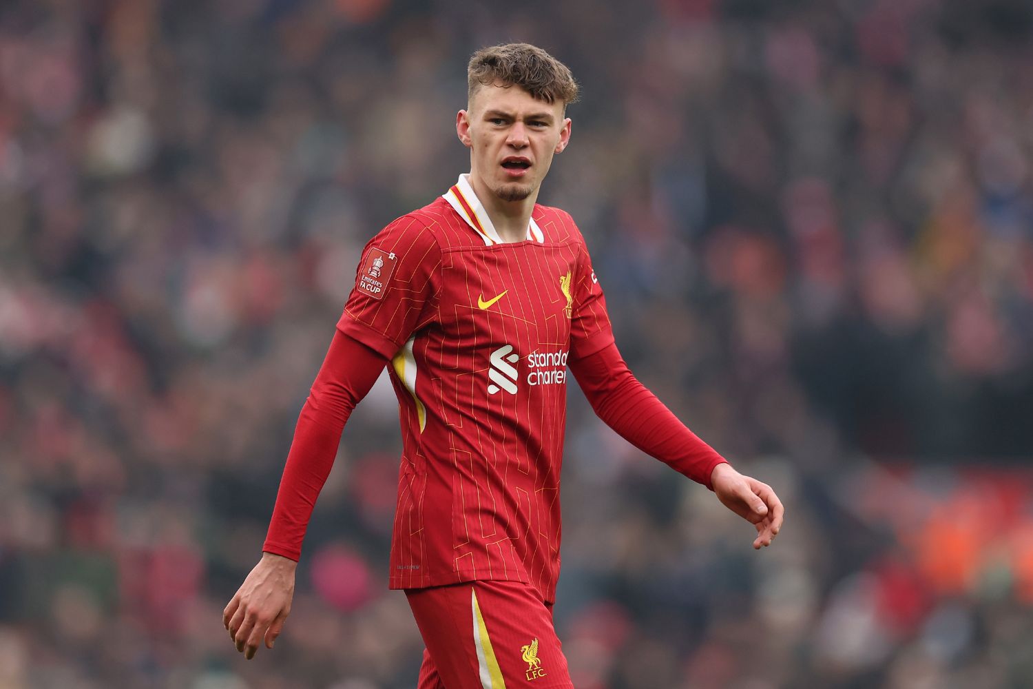 Conor Bradley in action for Liverpool