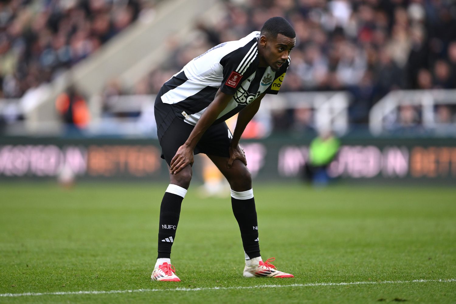 Alexander Isak in action for Newcastle