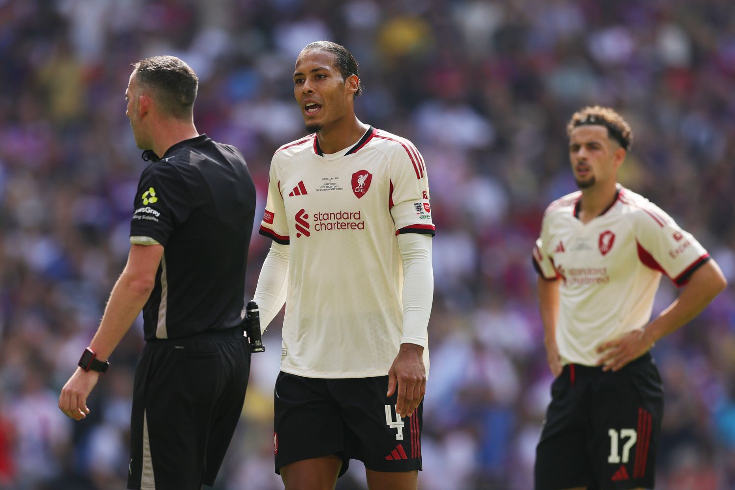 Virgil van Dijk in action against Crystal Palace