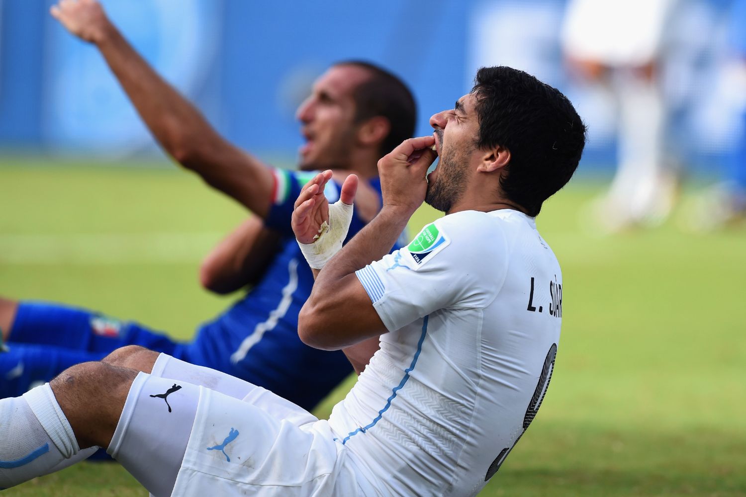 Luis Suarez and Giorgio Chiellini