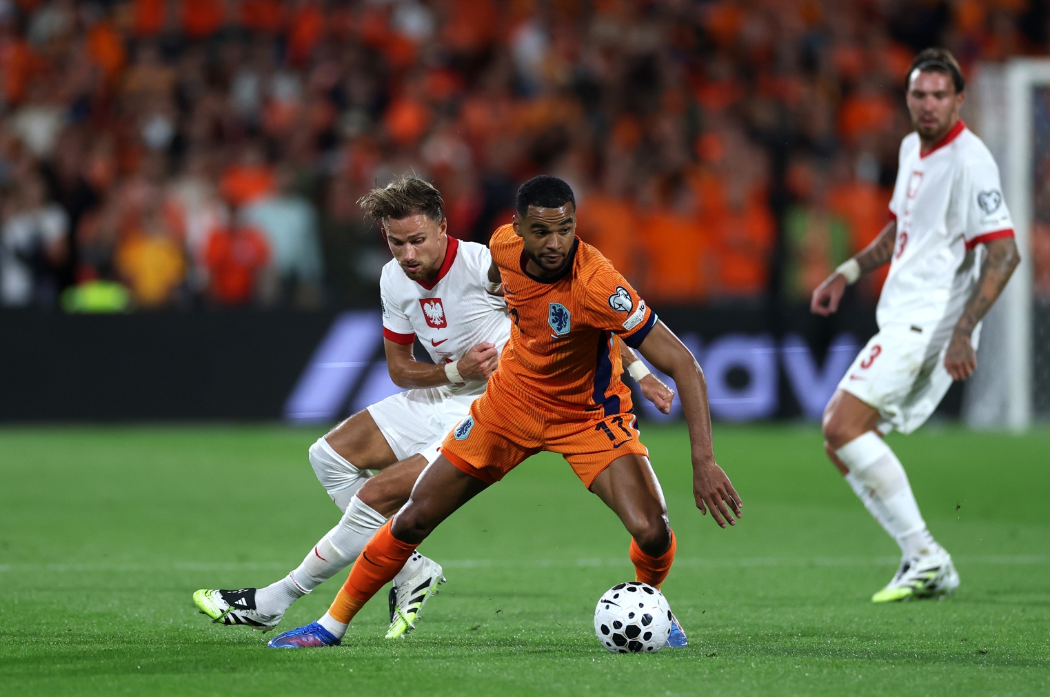 Cody Gakpo was praised for his recent performances for Netherlands