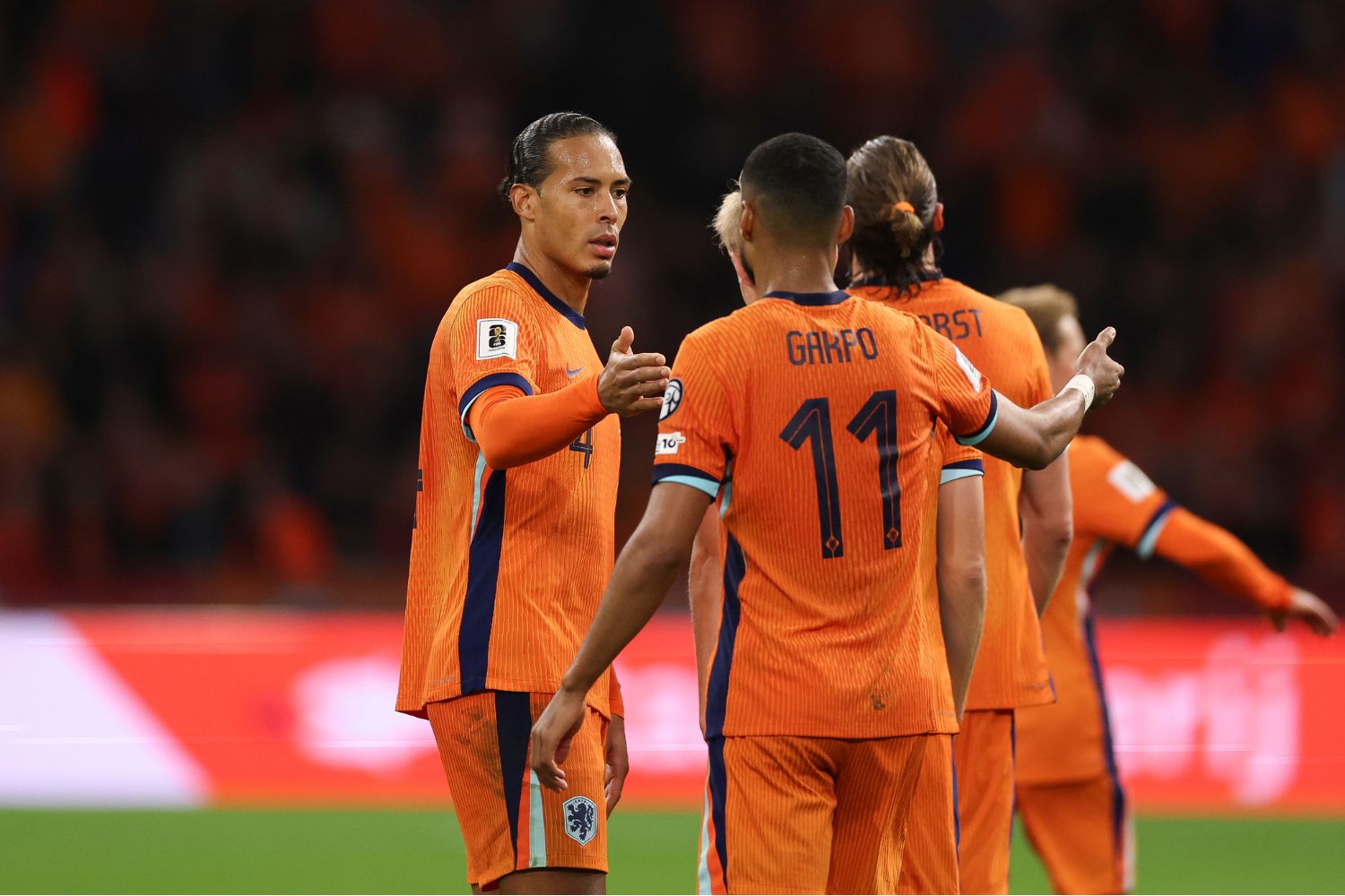 Cody Gakpo celebrates with Virgil van Dijk for Netherlands