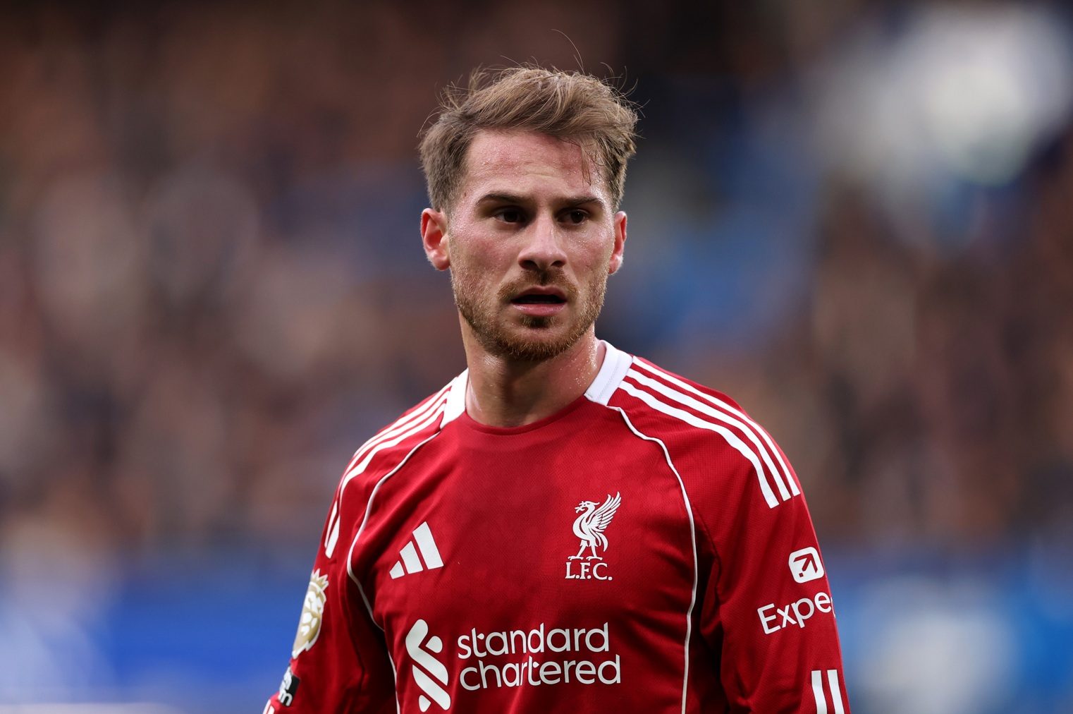 Real Madrid have reportedly cooled their interest in Alexis Mac Allister