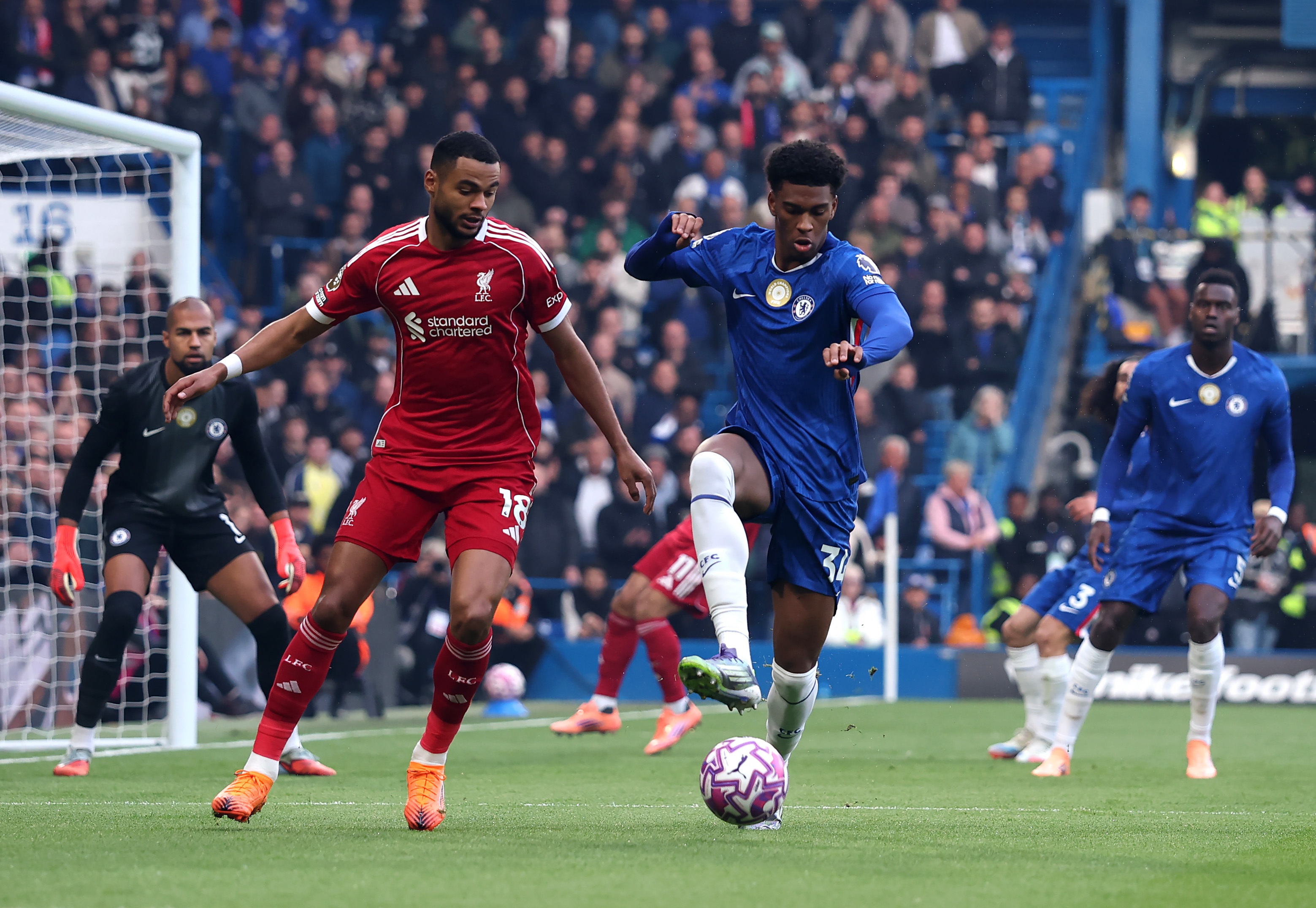 Cody Gakpo scored in Liverpool's defeat to Chelsea last weekend