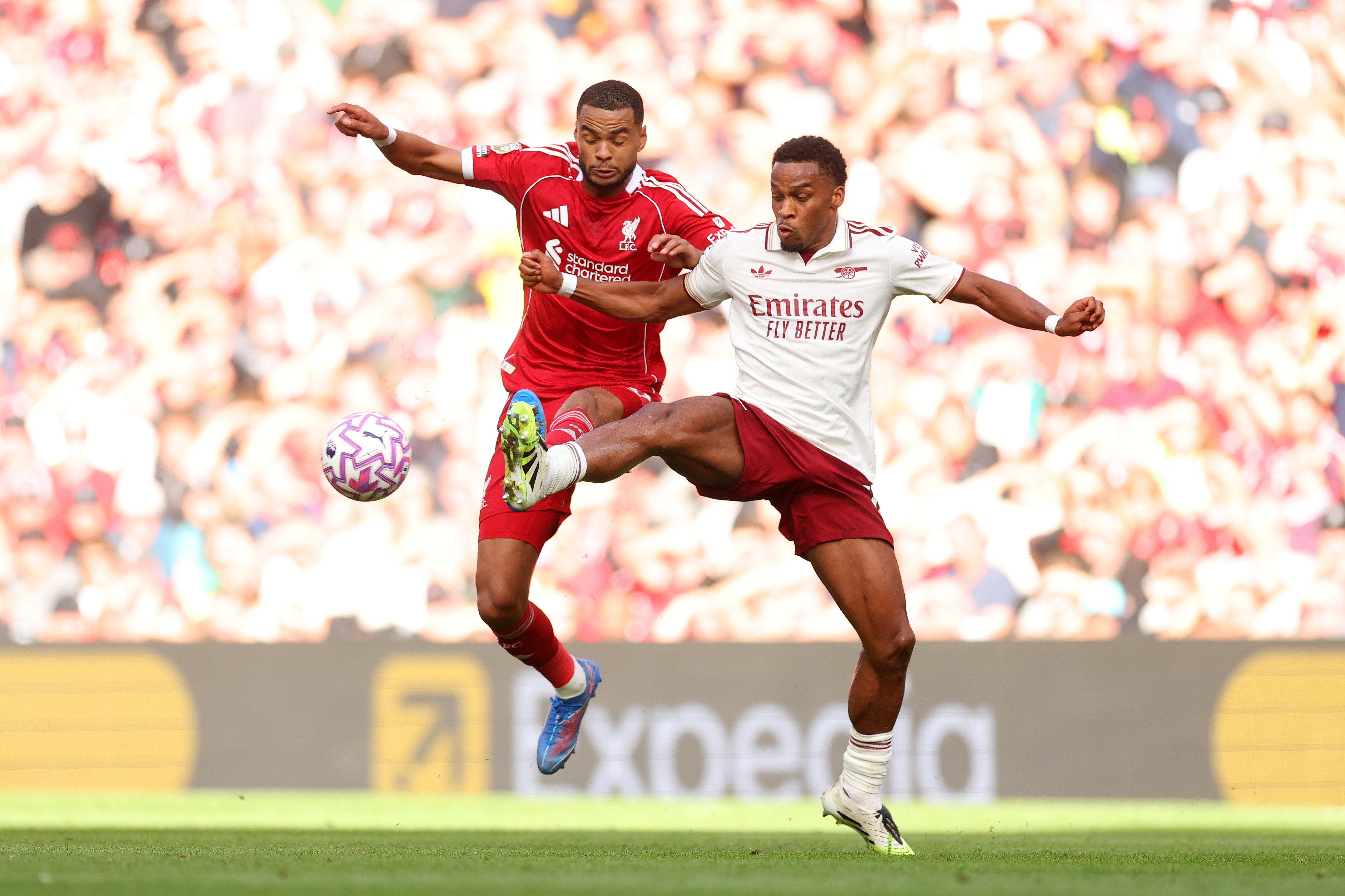 Cody Gakpo battles with Jurrien at Anfield