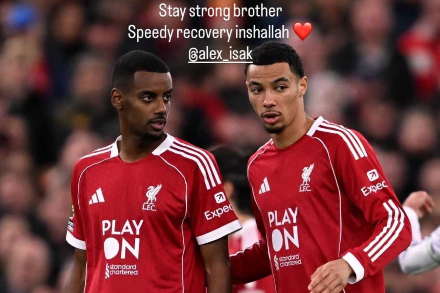 Hugo Ekitike sends message of support to Alexander Isak after injury