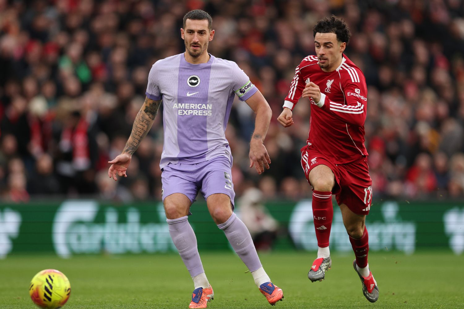 Lewis Dunk of Brighton & Hove Albion is challenged by Curtis Jones of Liverpool