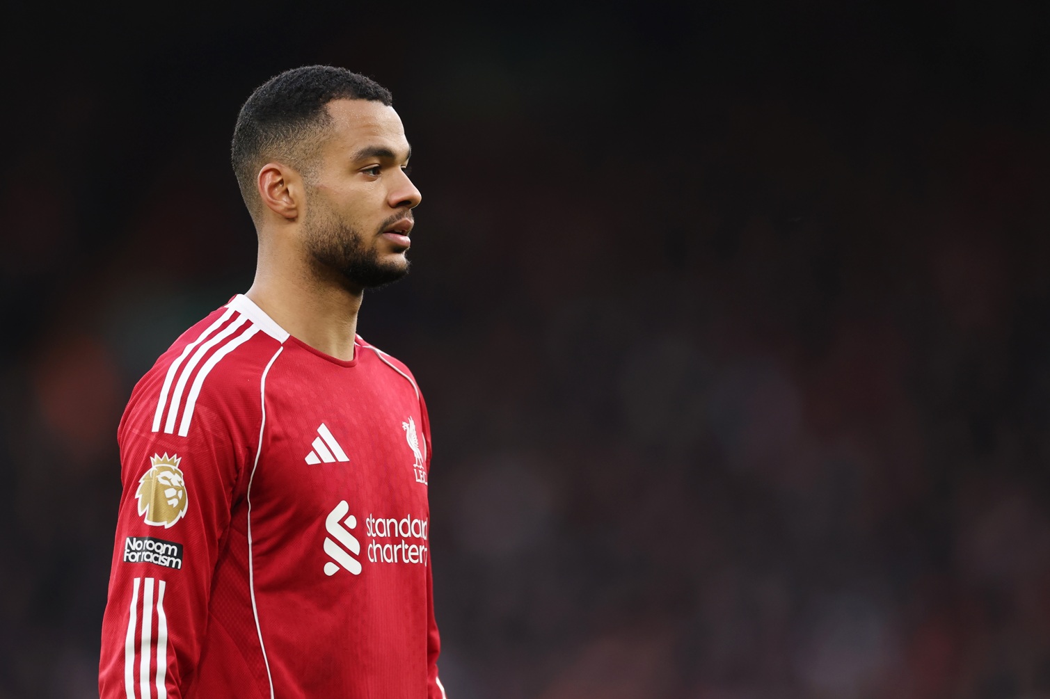 Cody Gakpo has been accused of becoming complacent at Liverpool