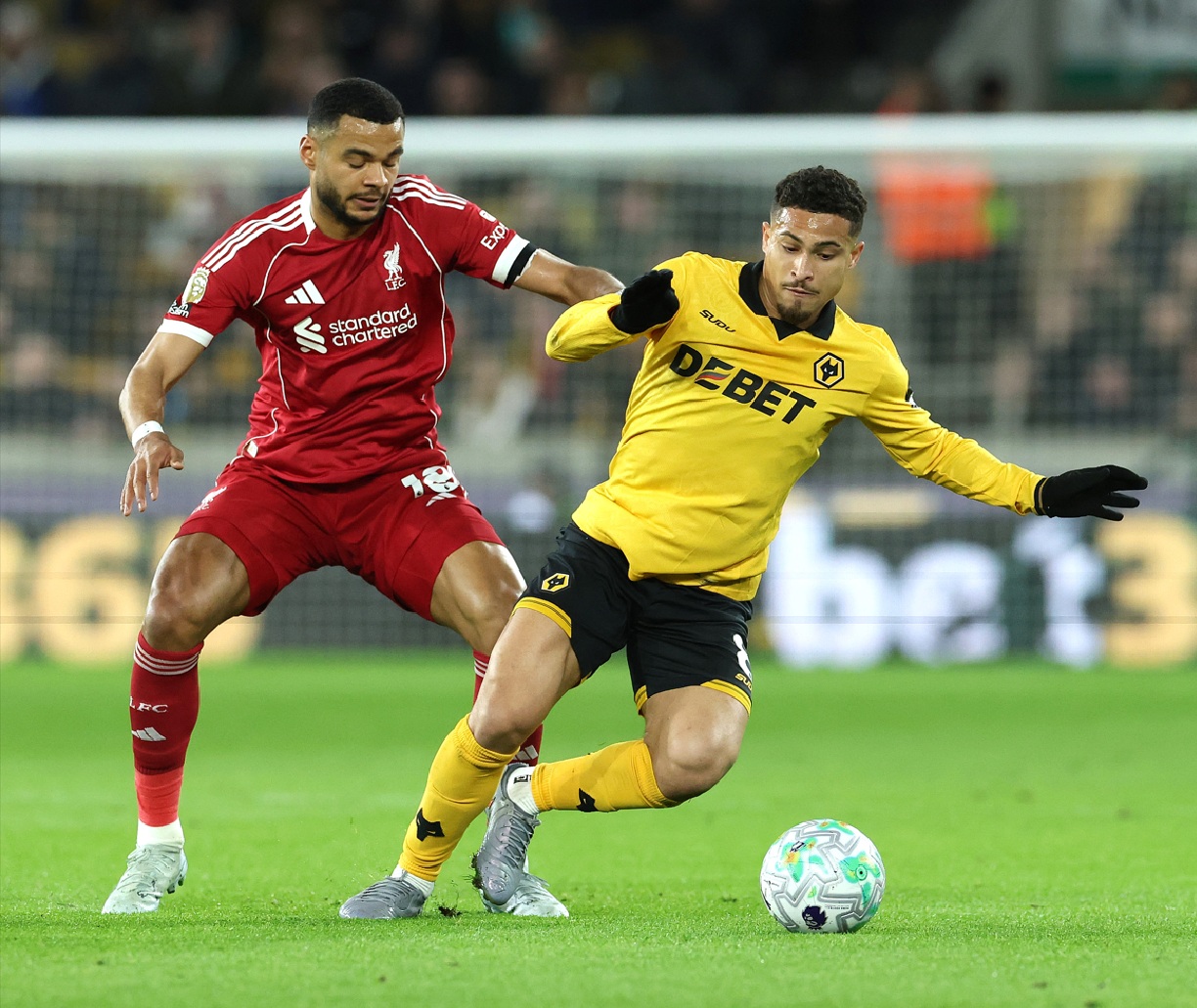 Jamie O'Hara has described Cody Gakpo as an 'average player' who is 'not good enough' for Liverpool