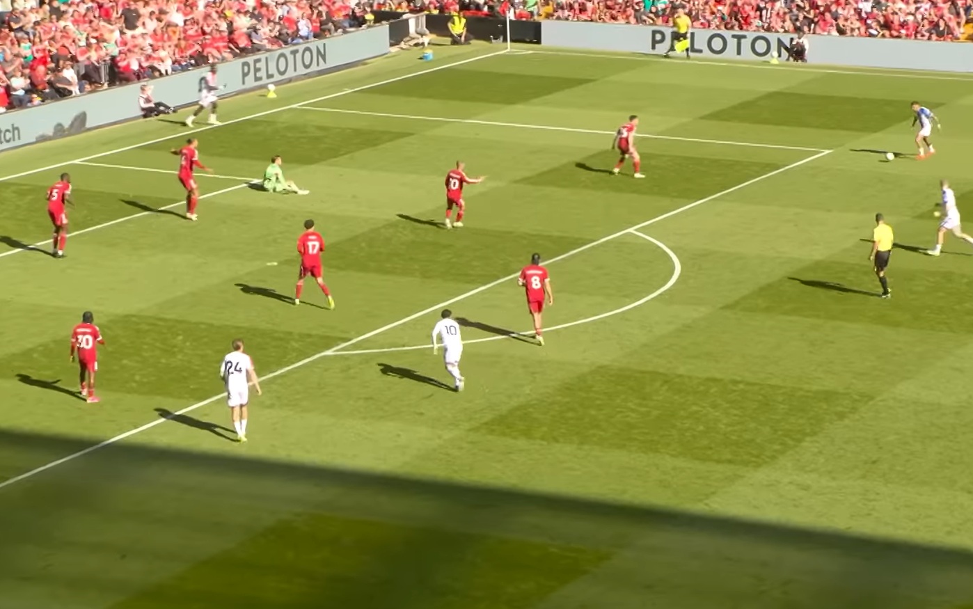 Daniel Munoz scored against Liverpool whilst Freddie Woodman lay injured on the ground