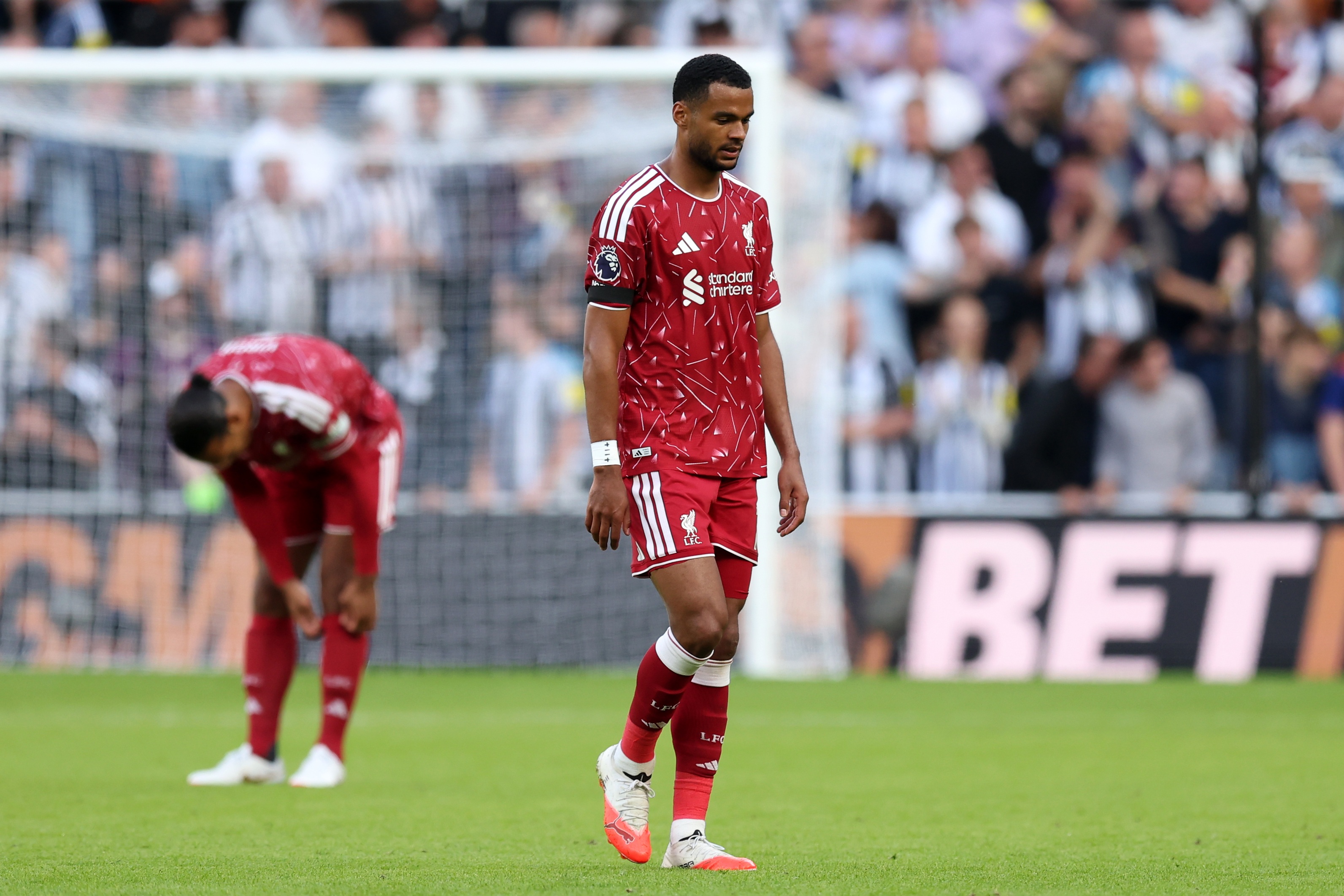 Cody Gakpo walks on the pitch during Liverpool's Premier League clash with Newcastle.