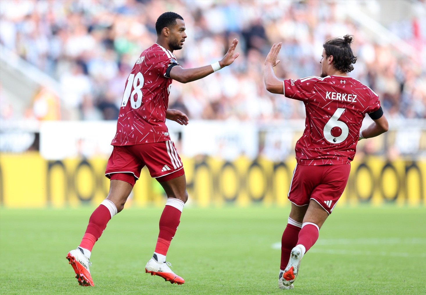 Cody Gakpo and Milos Kerkez celebrate the Dutchman's equaliser against Newcastle