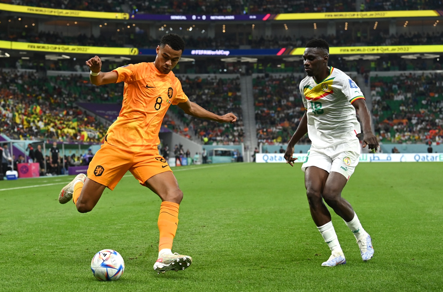 Cody Gakpo is closed down by Ismaila Sarr