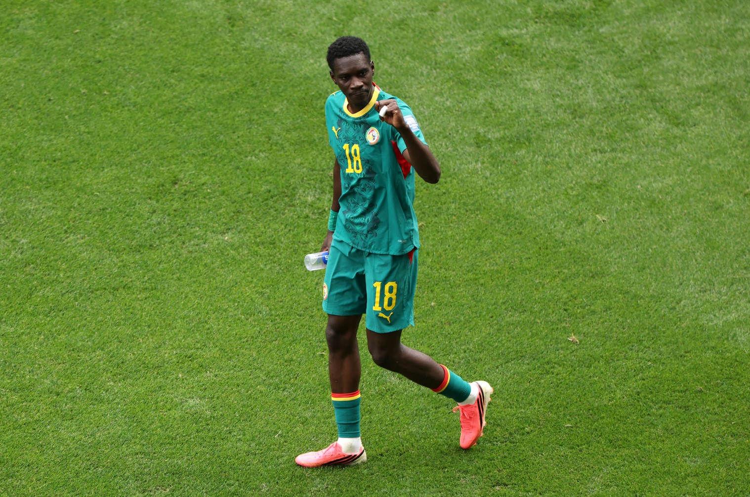 Ismaila Sarr celebrates scoring for Senegal at the World Cup