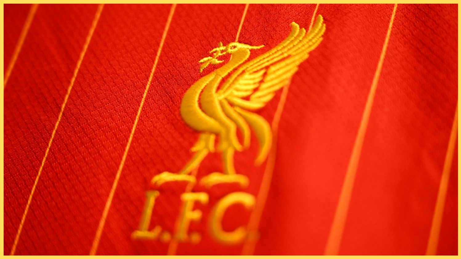 An image of the Liverpool crest on a supporter's shirt