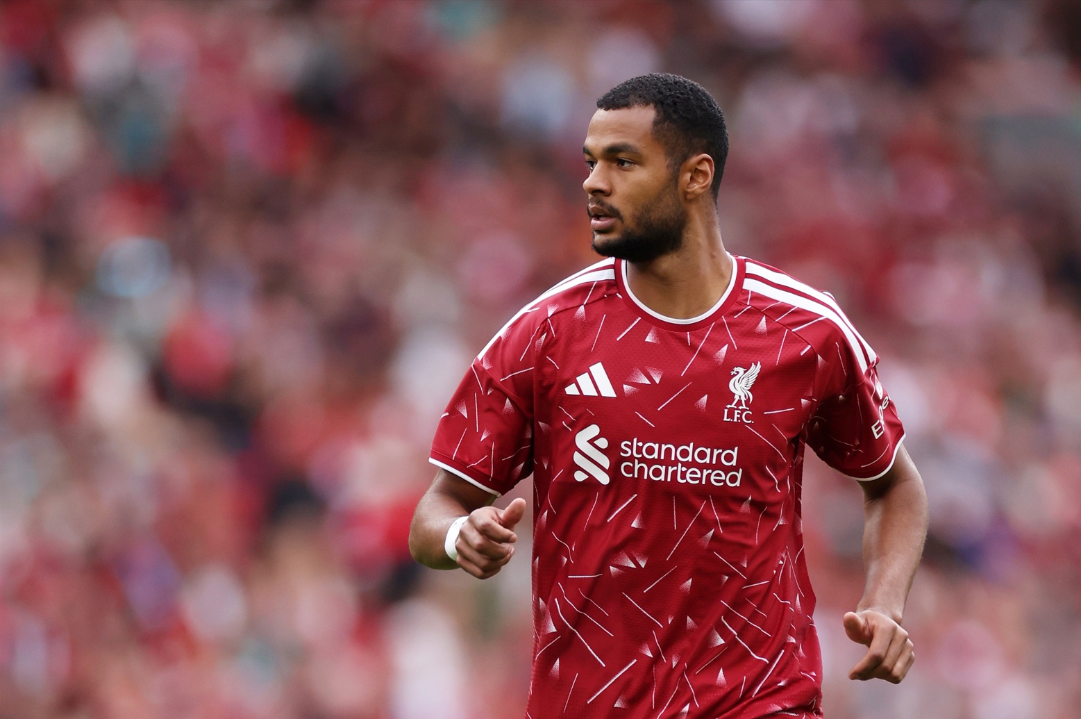 Cody Gakpo has had a terrific start to the season for Liverpool