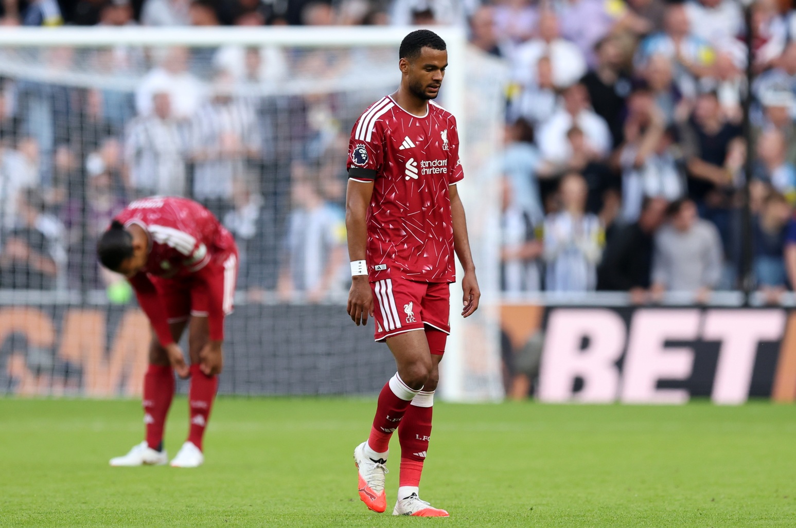 Cody Gakpo looks disappointed after Liverpool concede a goal against Newcastle