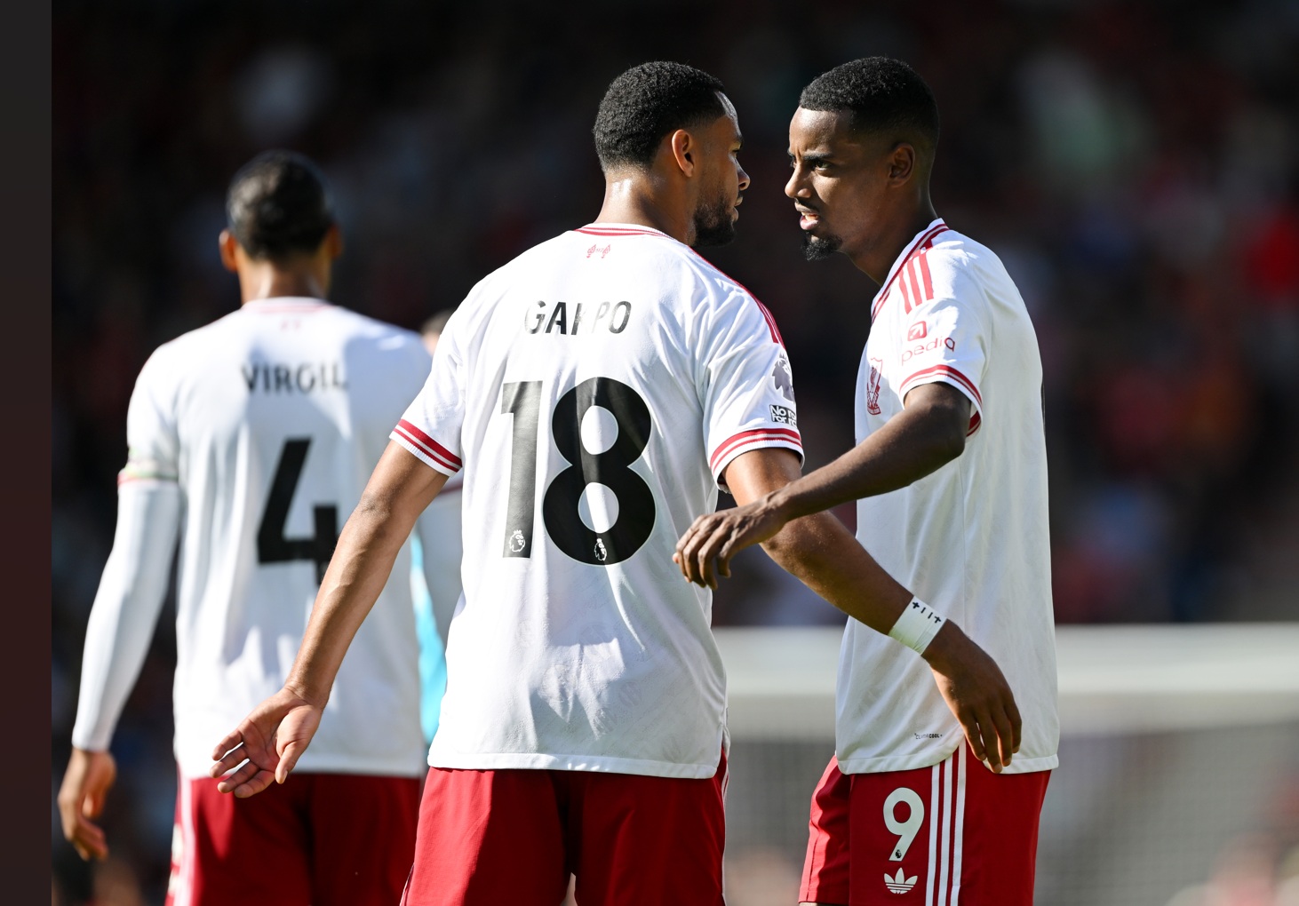 Cody Gakpo congratulates Alexander Isak after the Swedish striker's goal against Bournemouth