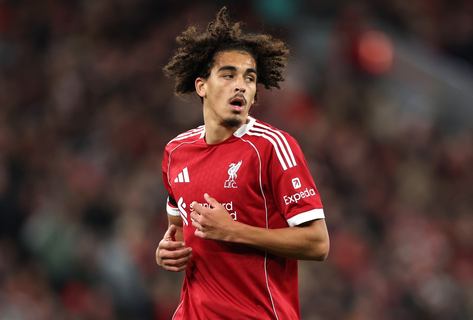 Jayden Danns last played for Liverpool's first team in September 2025